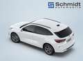 Ford Kuga ST-Line 2,5L Duratec PHEV 243PS A FWD Weiß - thumbnail 8