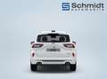 Ford Kuga ST-Line 2,5L Duratec PHEV 243PS A FWD Weiß - thumbnail 7