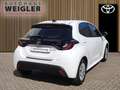 Toyota Yaris HEV Business Edition*Sitzheizung*Carplay* Weiß - thumbnail 3
