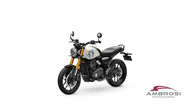 Triumph 2025MY