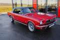 Ford Mustang 289cui V8 Rot - thumbnail 2
