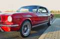 Ford Mustang 289cui V8 Rot - thumbnail 24
