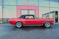 Ford Mustang 289cui V8 Rot - thumbnail 5