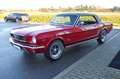Ford Mustang 289cui V8 Rot - thumbnail 4
