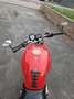 Ducati Monster 600 Rouge - thumbnail 5