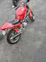 Ducati Monster 600 Rouge - thumbnail 3