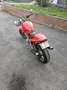 Ducati Monster 600 Rouge - thumbnail 4