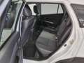 Suzuki S-Cross 1.4 Hybrid 4WD AllGrip TOP Bianco - thumbnail 13