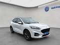 Ford Kuga 2.5 Duratec PHEV ST-LINE TECHNO-PAKET+PANO+AH Weiß - thumbnail 10