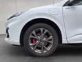 Ford Kuga 2.5 Duratec PHEV ST-LINE TECHNO-PAKET+PANO+AH Weiß - thumbnail 24