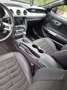 Ford Mustang Fastback 2.3 EcoBoost Aut. Mauve - thumbnail 14
