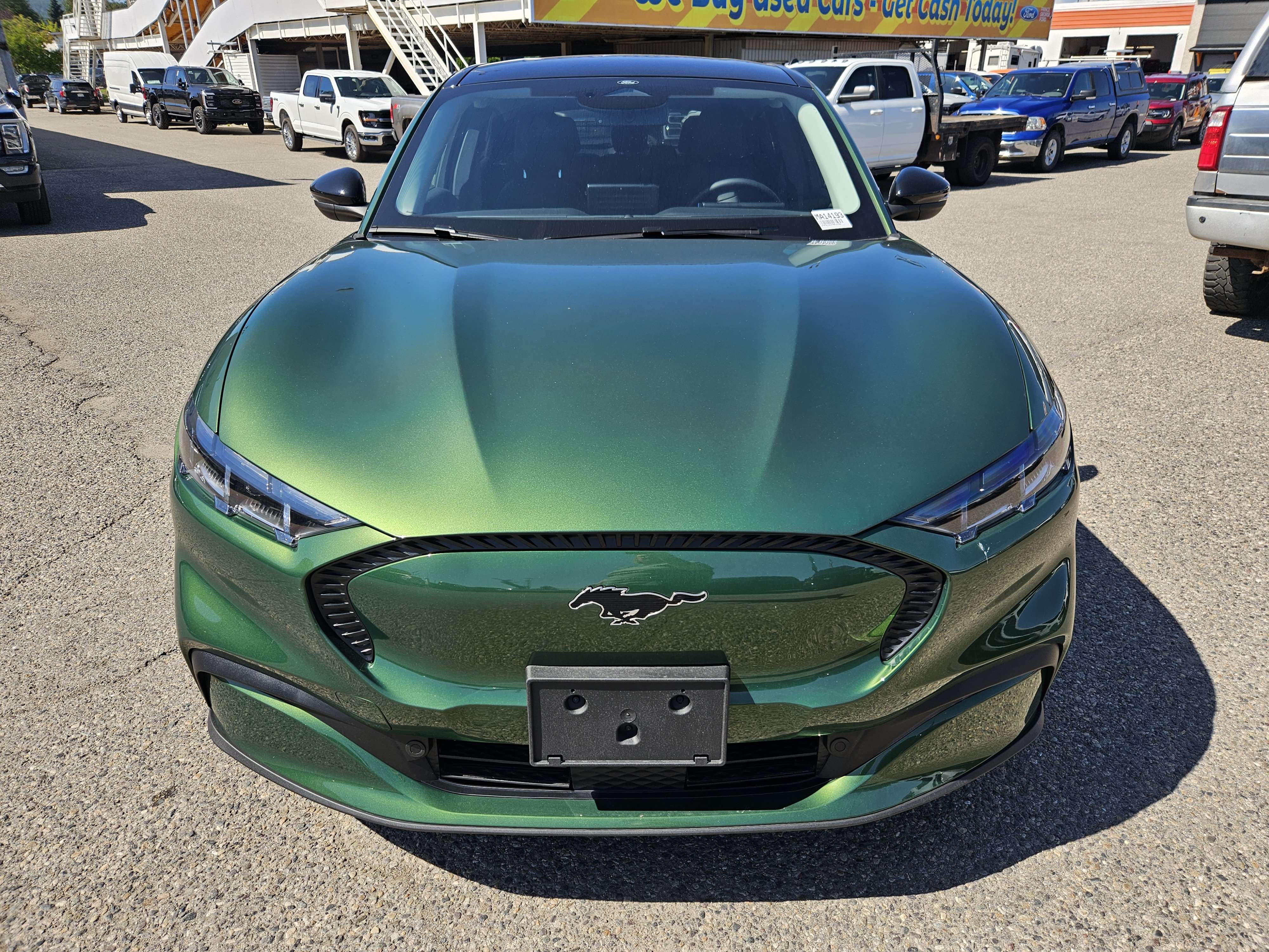 2026 Ford Mustang Mach-E