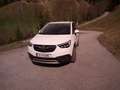 Opel Crossland X Crossland X 1,2 Turbo ECOTEC Direct Inj. Innovation St./St Innovation Weiß - thumbnail 8