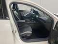 Opel Astra L 1.2 Turbo Enjoy LED*KAMERA*PDC*Sitzh* Wit - thumbnail 16