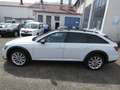 Audi A6 allroad quattro 55 TDI tiptronic " Panoramadach Weiß - thumbnail 6