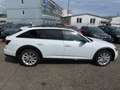 Audi A6 allroad quattro 55 TDI tiptronic " Panoramadach Weiß - thumbnail 2