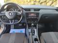 Skoda Octavia 1,6 TDI Style, Anhängevorr., Panodach Silber - thumbnail 14