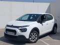 Citroen C3 BlueHDi 75KW 100CV SS LIVE - thumbnail 3