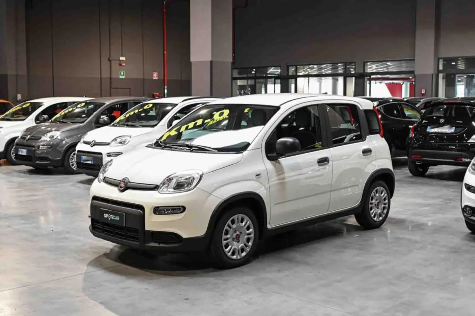Fiat Panda Hybrid 1.0 70cv Alb - 1