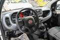Fiat Panda Hybrid 1.0 70cv Alb - thumbnail 12