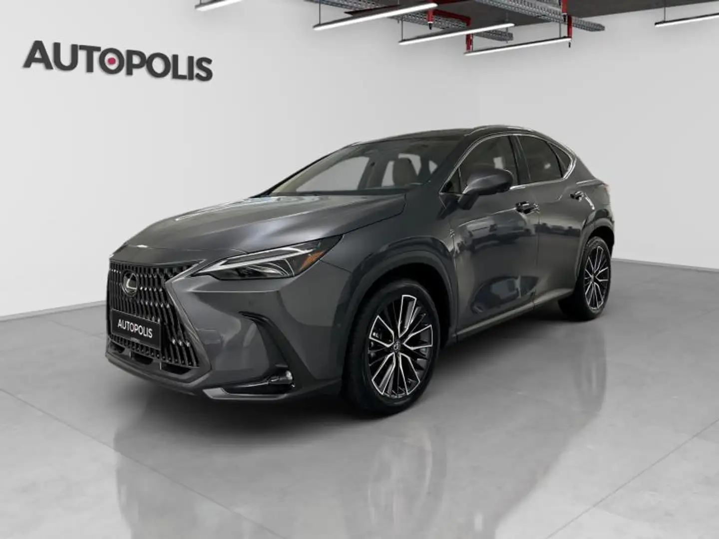 Lexus NX 350h 2.5 Szürke - 1
