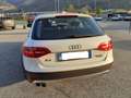 Audi A4 allroad 2.0 TDI 150 CV Bianco - thumbnail 4