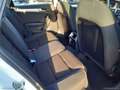 Audi A4 allroad 2.0 TDI 150 CV Bianco - thumbnail 12