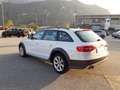 Audi A4 allroad 2.0 TDI 150 CV Bianco - thumbnail 3