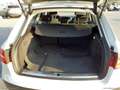 Audi A4 allroad 2.0 TDI 150 CV Bianco - thumbnail 5