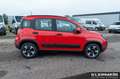 Fiat Panda Cross (RED) Hybrid 1.0 GSE 51kw (70PS) Rot - thumbnail 4