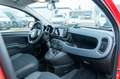 Fiat Panda Cross (RED) Hybrid 1.0 GSE 51kw (70PS) Rot - thumbnail 13