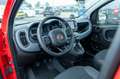 Fiat Panda Cross (RED) Hybrid 1.0 GSE 51kw (70PS) Rot - thumbnail 10