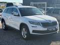 Skoda Kodiaq 2,0 TDI SCR 7 Sitze!! 4x4 Ambition Weiß - thumbnail 3