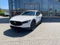 Mazda CX-30 2.0 (186PS) Autom. Nagisa Teillder Rückfah Blanc - thumbnail 2
