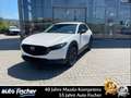 Mazda CX-30 2.0 (186PS) Autom. Nagisa Teillder Rückfah Wit - thumbnail 1