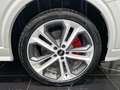 Audi SQ2 SQ2 2.0 tfsi Sport Attitude quattro s-tronic Blanco - thumbnail 22