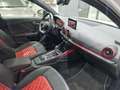 Audi SQ2 SQ2 2.0 tfsi Sport Attitude quattro s-tronic Blanco - thumbnail 24