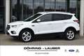 Ford Kuga Kuga 2.0 TDCi, Titanium 4x4 Start/Stopp AHK Leder Weiß - thumbnail 1