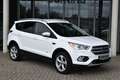 Ford Kuga Kuga 2.0 TDCi, Titanium 4x4 Start/Stopp AHK Leder Weiß - thumbnail 27