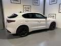 Alfa Romeo Stelvio 2.9 Bi-Turbo Q4 Quadrifoglio AT8 Blanco - thumbnail 23