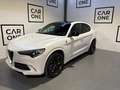Alfa Romeo Stelvio 2.9 Bi-Turbo Q4 Quadrifoglio AT8 Blanco - thumbnail 1