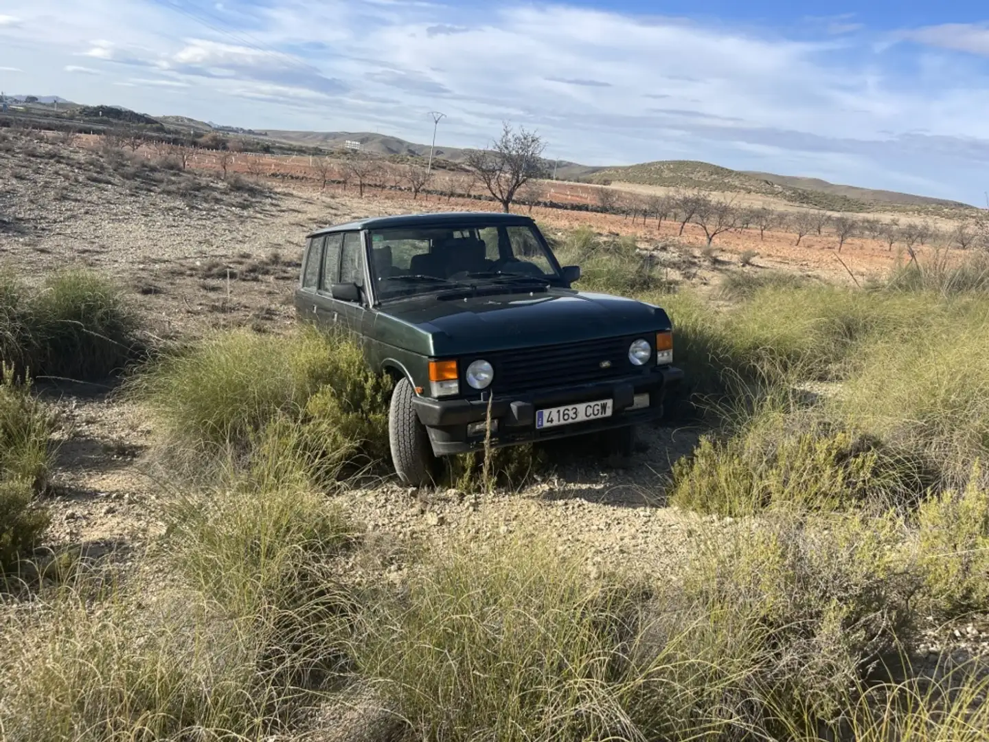 Land Rover Range Rover Classic 2.5 TD Vogue Verde - 2