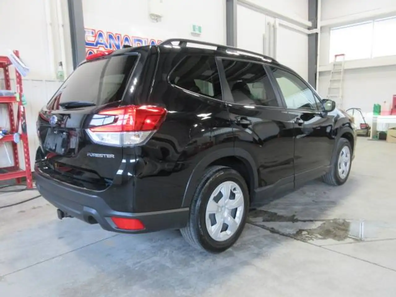 Subaru Forester fotografie Subaru Forester
