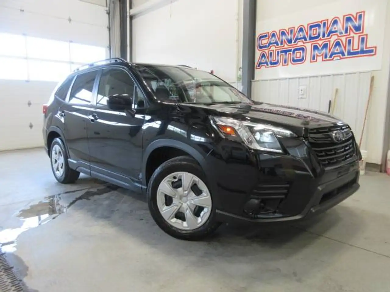 Subaru Forester fotografie Subaru Forester