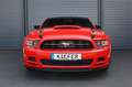 Ford Mustang V6 3.7/Xenon/Automatik/Ambiente/BTH/R18 Rot - thumbnail 2