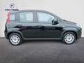 Fiat Panda 1.0 Hybrid 70PK MT6 - thumbnail 4