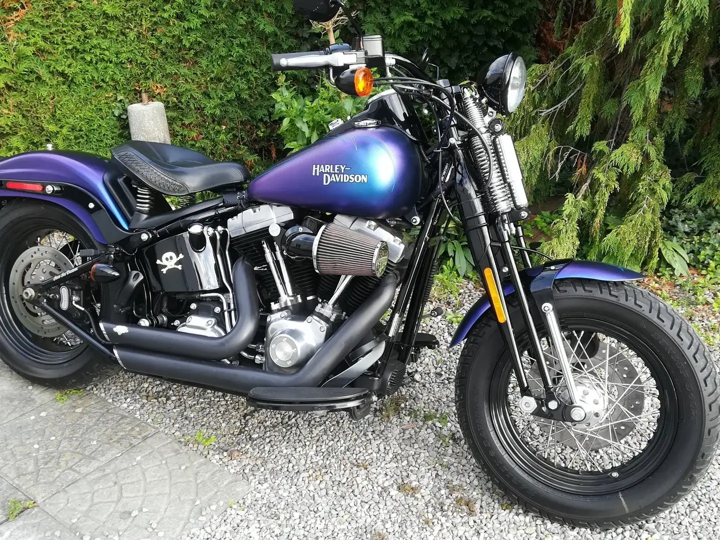 Harley-Davidson Softail CROSS BONES ☠️ Niebieski - 1