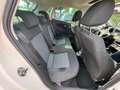 Volkswagen Polo 1.2 STYLE PANORAMA DAK GTI VELGEN 90DKM AIRCO STOE Weiß - thumbnail 12