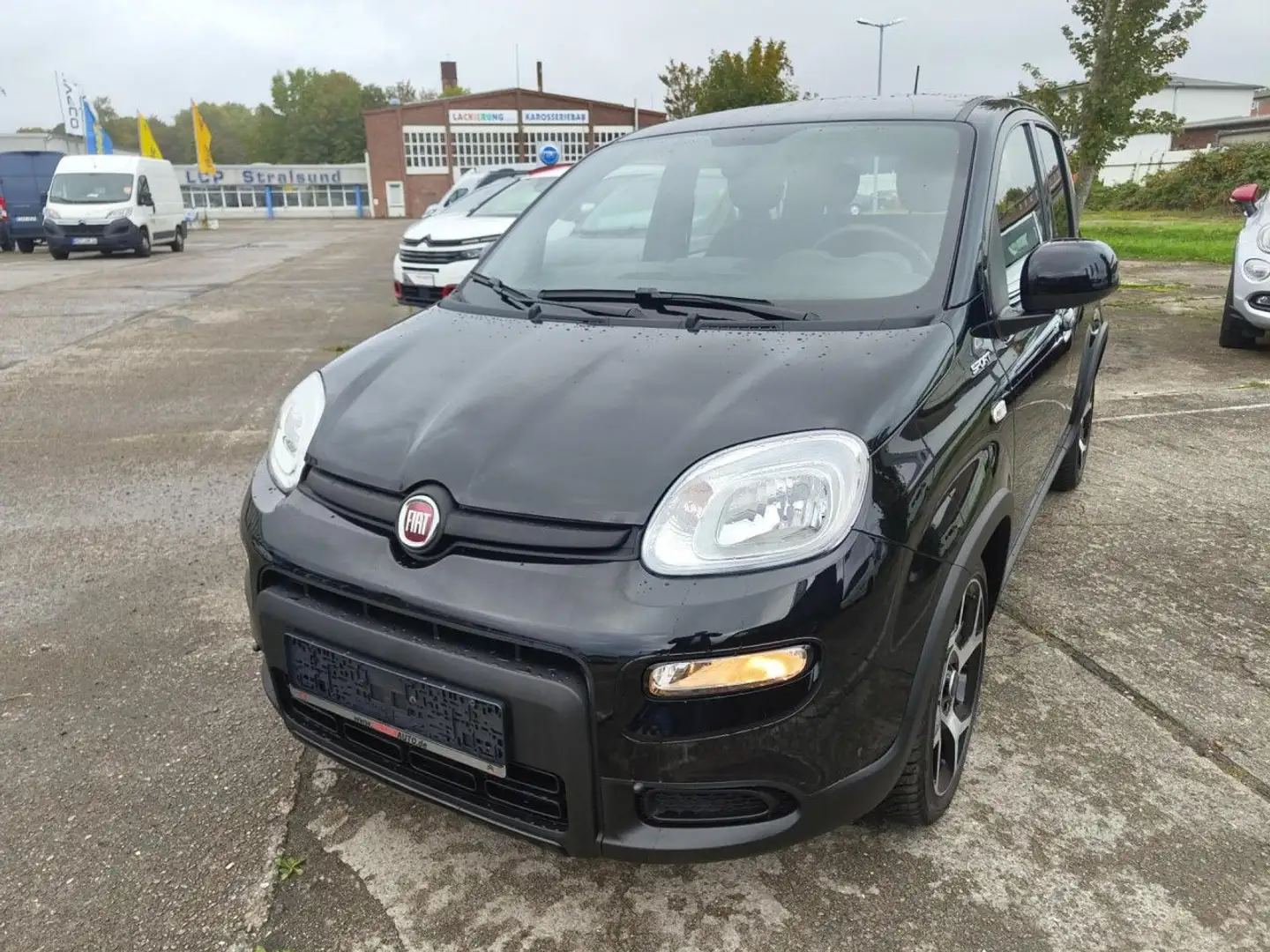 Fiat Panda 1.0 GSE Hybrid Sport Klima el. Fenster Noir - 1