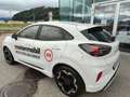 Ford Puma 1,0 EcoBoost Hybrid ST-Line X Weiß - thumbnail 3